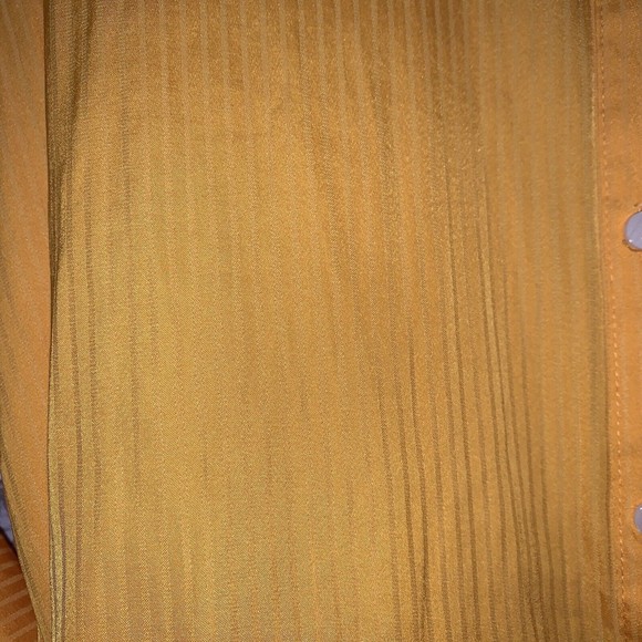 FREE PEOPLE Serena Silky Stripe Shirt carrot ginger yellow Long Sleeve Blouse - Picture 5 of 12